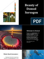 Beauty of Donsol Sorsogon