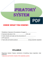 Respiratory System-Updated