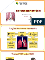 Sistema Respiratório