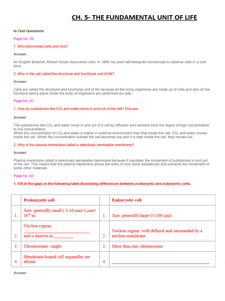 Intext Q & A - Fundamental Unit of Life Download Free PDF Cell (Biology) Eukaryotes