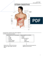 Sistema Digestivo .