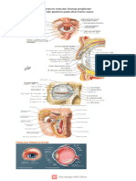 Li LBM 3 Mas Organ Indera Faisya