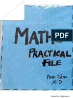 Xi Maths Activity File (Pihu Jain Class Xi, CRPF School, Rohini, Delhi)
