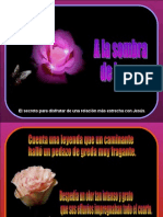 a_la_sombra_de_la_rosa_pps