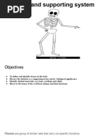 2.0 Tissues and Supporting System