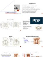 Lab Gross Anatomy of The Reproductive System - 2 - 2023