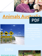 Prezentaciya Na Temu Animals Australia