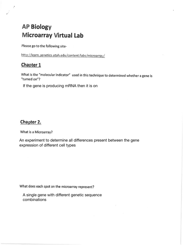 Microarray Virtual Lab PDF