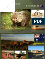 5022 Prezentaciya Na Temu Austrlian Animal