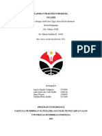 Laprak Lipid Biokim Kel 6 - Revmila