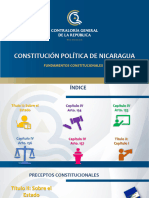 Fundamentos Constitucionales Prezi-1
