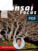 Bonsai Focus - 01.02 2021_downmagaz.net