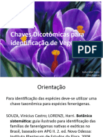 5_Chaves_taxonomicas (1)