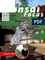 Bonsai Focus - May June 2020_downmagaz.net