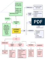 MAPA P4M1 Isabela Esteves