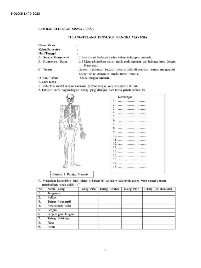 Lkpd Kelas 11 2023 Pdf