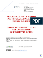 Árboles Nativos de Sinaloa
