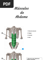 Anatomia Topográfica Da Parede Abdominal | PDF | Anatomia | Morfologia ...