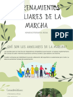 Auxiliares de La Marcha