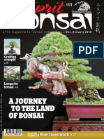 Esprit Bonsai International December 01 2017