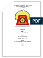 Mapas Conceptuales MIP y CIP