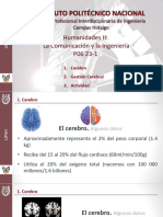 Humanidades II: La Comunicación y La Ingeniería P06 23-1: 1. Cerebro 2. Gestión Cerebral 3. Actividad