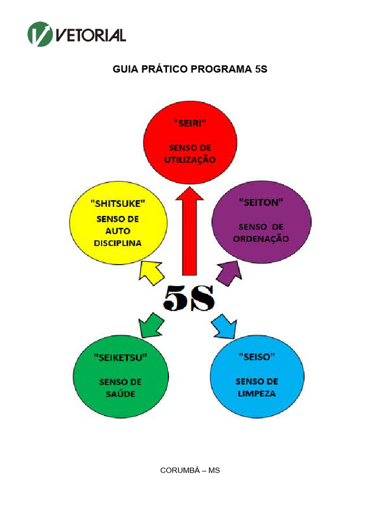 Guia Prático Programa 5S | PDF | Qualidade (negócios) | Desperdício