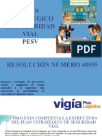 Presentacion Pesv