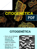Citogenetica 2011 New