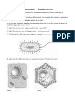 T6 Los Seres Vivos Preguntas Resumen