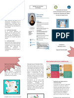 Triptico Curriculum Vitae