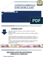 Ley de Consulta Previa y Convenio 169 de 25 de Noviembre 2023