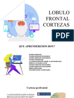 Clase 8 Bases Biologicas de La Conducta