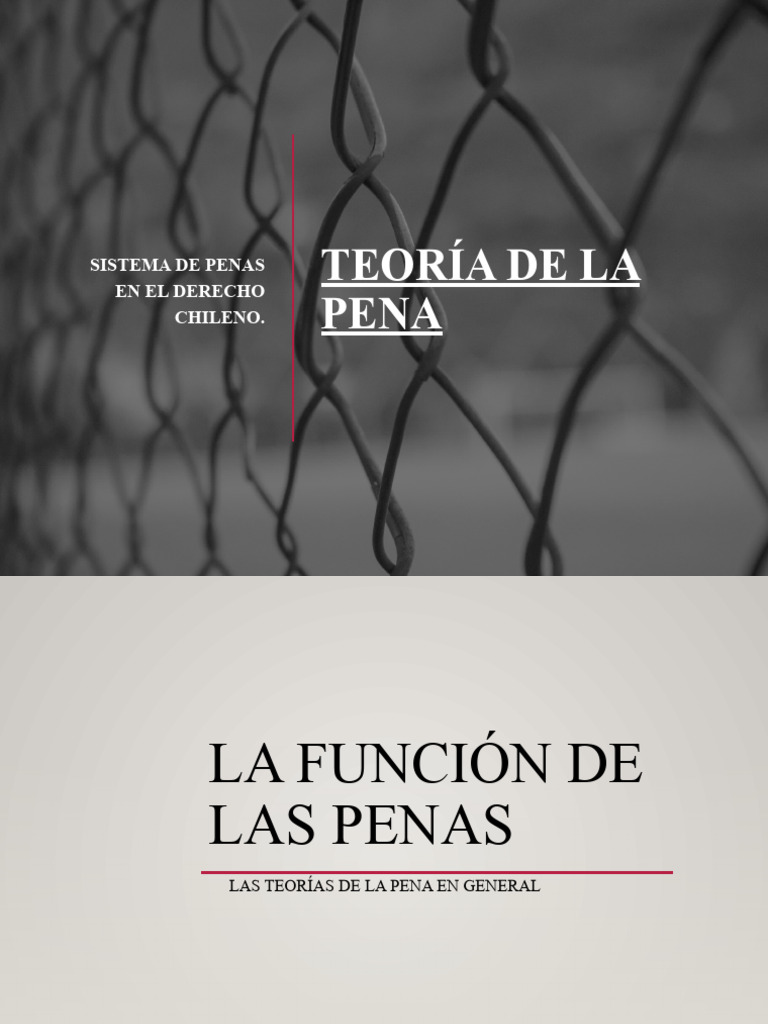 Teoría de La Pena PDF Derecho penal Castigos