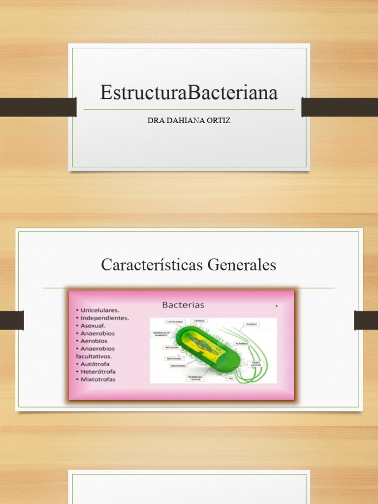 Estructura y Morfología Bacteriana | PDF | Las bacterias | Biología ...