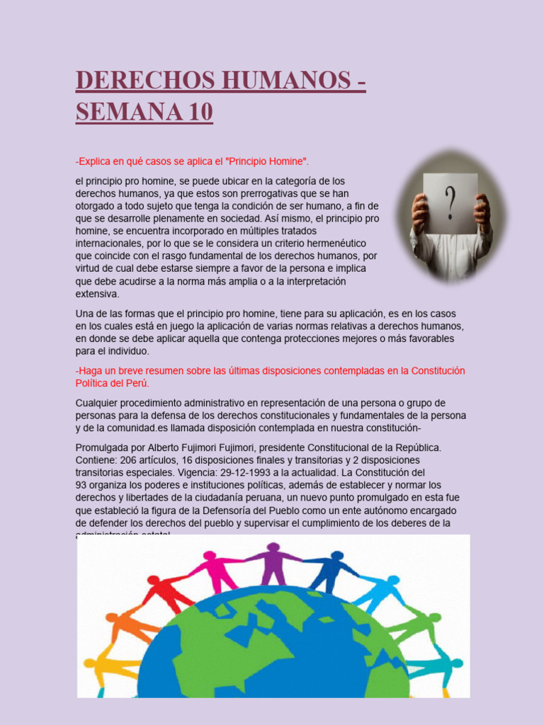 Derechos Humanos 10 | PDF | Política | Ciencias sociales