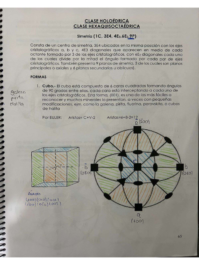 Guia Proyecciones Estereográficas | PDF