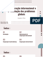 A Cooperação Internacional e A Resolução Dos Problemas Globais