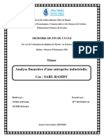 Analyse Financière D'une Entreprise Industrielle Cas SARL RAMDY