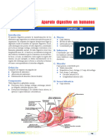 Aparato Digestivo en Humanos