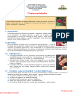 2 Ficha Informativa y Aplicada Plantas-Medicinales