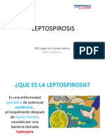 Leptospira