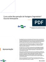 Guia Do Participante - Recup Pastagens - V3