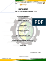 Guía para El Informe de FCT 1