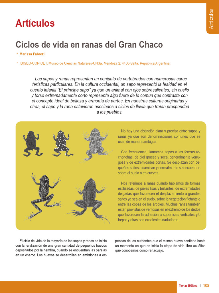 Ciclos de Vida en Ranas Del Gran Chaco (Fabrezi 2011) | PDF | Rana | Boca