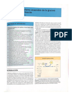 Bioquimica Medica 148-160 Parte 1