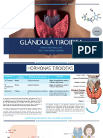 Glándula Tiroidea