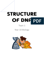Student Notes Structure of DNA
