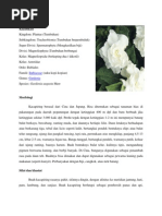 Download Kaca Piring by Hardyreinanda SN68845631 doc pdf