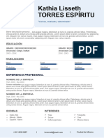 58 Curriculum Vitae Hecho